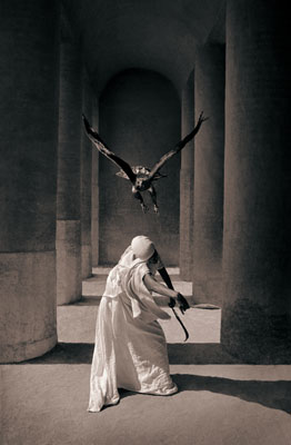 Origins at HEIST : An exquisite representation of nature and human&nbsp;identity.