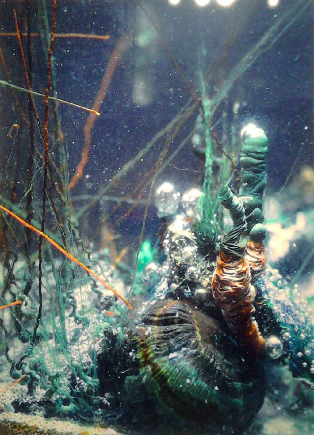 Caverne by Hicham Berrada at Wentrup&nbsp;Gallery