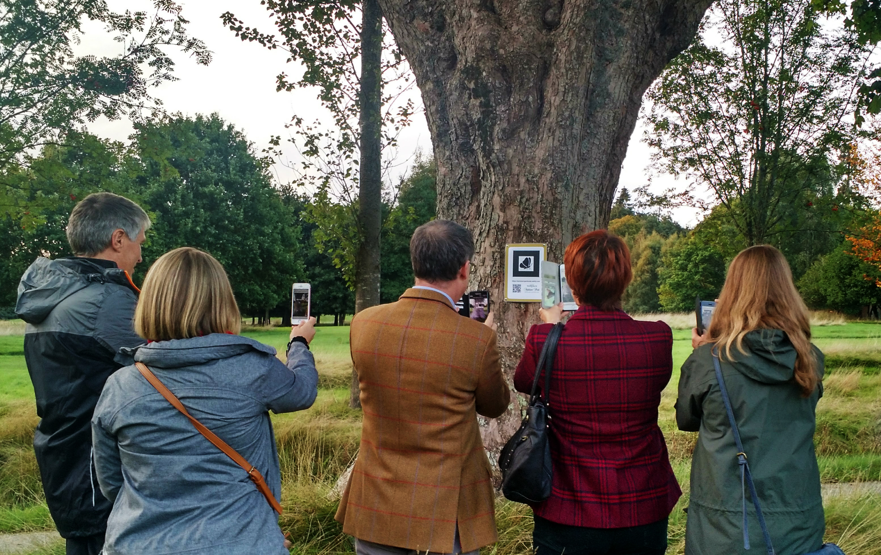 IMG_20180829_191841422_HDR