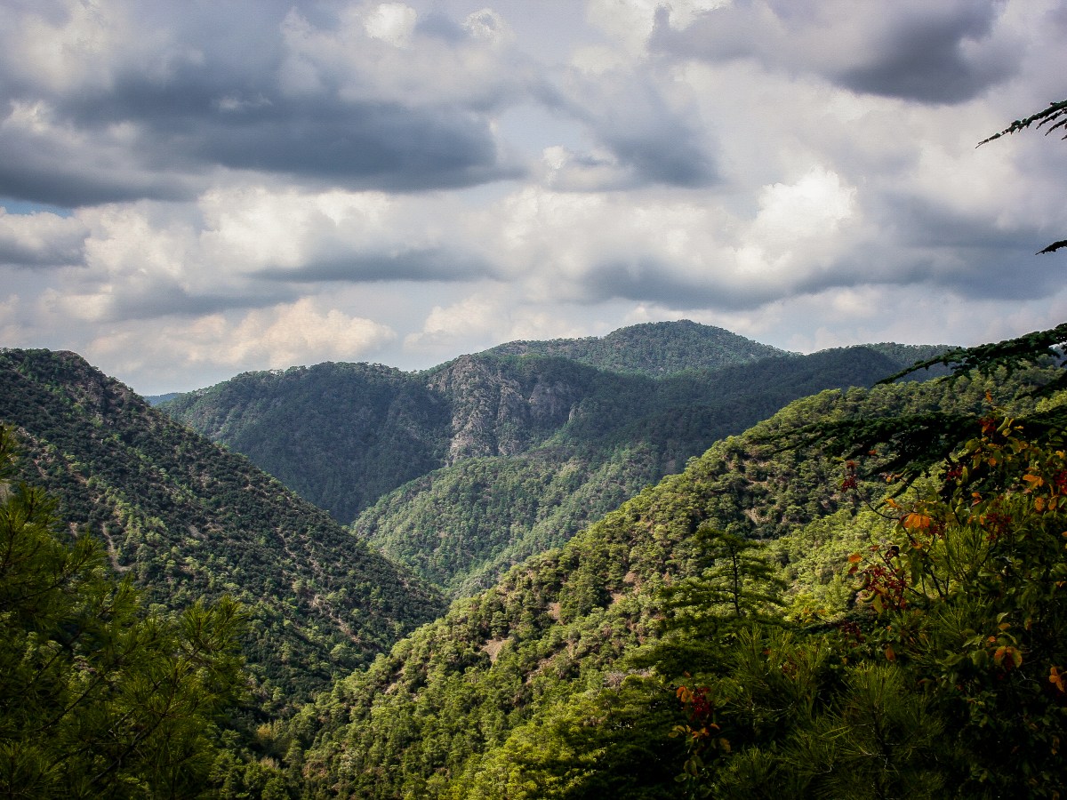 From corporate to&nbsp;community