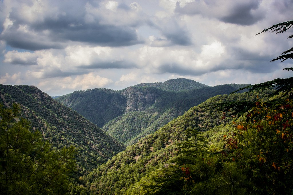 From corporate to&nbsp;community