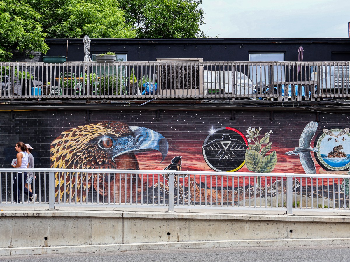 Serendipity in the city: Lessons on Indigenous&nbsp;history